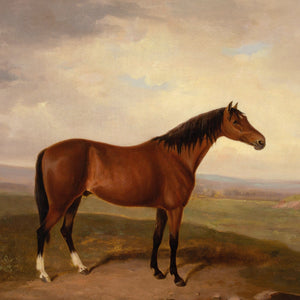 Early 19th-Century English School, Bay Horse In A Landscape