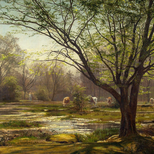 Christian Zacho, Spring, Forest Of Fontainebleau, Mare Aux Fées