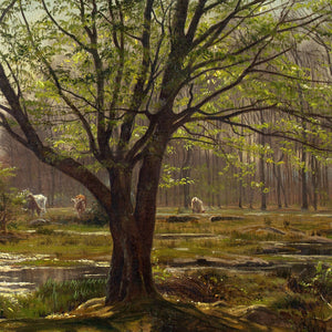 Christian Zacho, Spring, Forest Of Fontainebleau, Mare Aux Fées