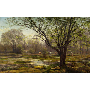 Christian Zacho, Spring, Forest Of Fontainebleau, Mare Aux Fées
