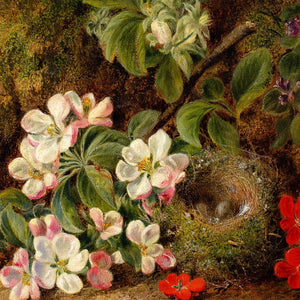 George Clare, Still Life With Bird’s Nest & Apple Blossom
