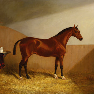 Martin Theodore Ward, A Chestnut Hunter & White Cat In A Stable