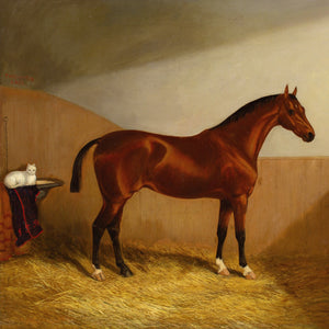 Martin Theodore Ward, A Chestnut Hunter & White Cat In A Stable