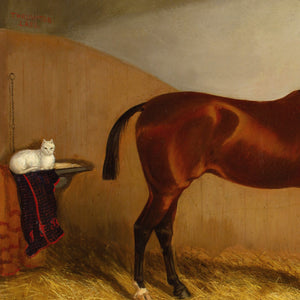 Martin Theodore Ward, A Chestnut Hunter & White Cat In A Stable