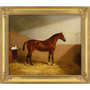 Martin Theodore Ward, A Chestnut Hunter & White Cat In A Stable