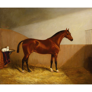 Martin Theodore Ward, A Chestnut Hunter & White Cat In A Stable