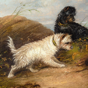 Edgar Armfield (Attributed), Two Terriers Rabbiting