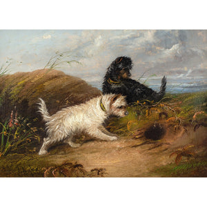 Edgar Armfield (Attributed), Two Terriers Rabbiting