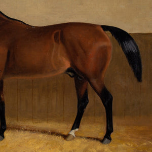 Early 20th-Century English School, Portrait Of Laughing Stock, A Bay Racehorse