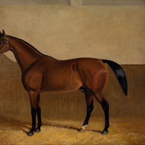 Early 20th-Century English School, Portrait Of Laughing Stock, A Bay Racehorse