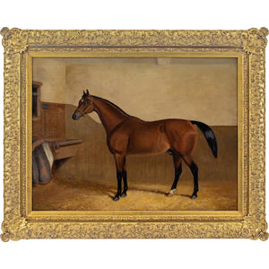 Early 20th-Century English School, Portrait Of Laughing Stock, A Bay Racehorse