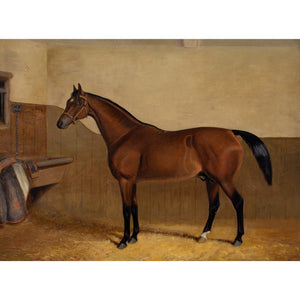 Early 20th-Century English School, Portrait Of Laughing Stock, A Bay Racehorse