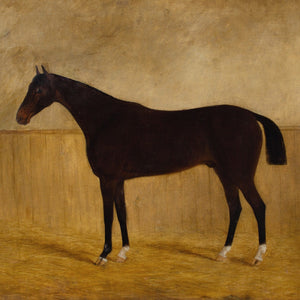 James Blazeby, Inkerman In A Stable