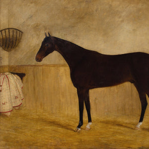 James Blazeby, Inkerman In A Stable