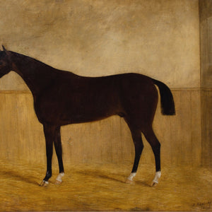 James Blazeby, Inkerman In A Stable