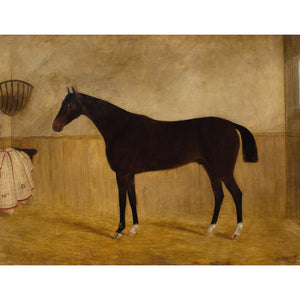 James Blazeby, Inkerman In A Stable