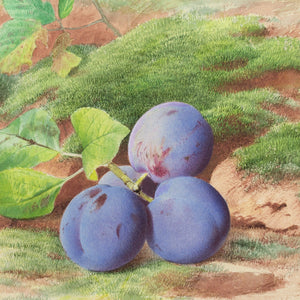 William Henry Hunt (Follower), Still Life With Plums