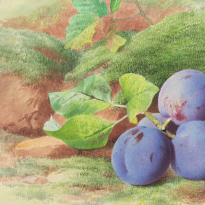 William Henry Hunt (Follower), Still Life With Plums