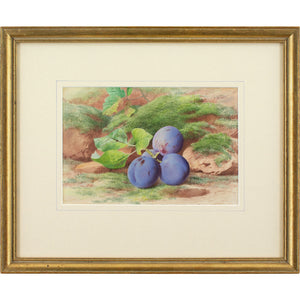William Henry Hunt (Follower), Still Life With Plums