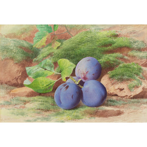 William Henry Hunt (Follower), Still Life With Plums