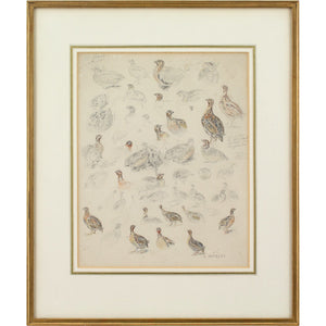 Édouard Paul Merite, Studies Of Grouse