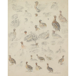 Édouard Paul Merite, Studies Of Grouse