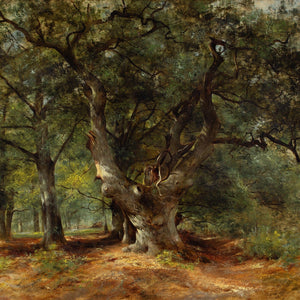 William Gosling RBA, An Oak Tree In A Sunlit Glade