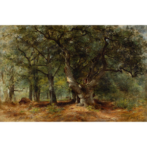 William Gosling RBA, An Oak Tree In A Sunlit Glade