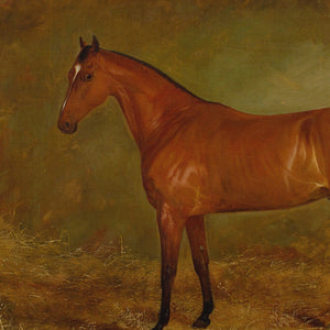 19th-Century English School, Portrait Of A Bay Horse