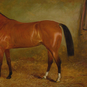 19th-Century English School, Portrait Of A Bay Horse