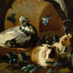 Franz Werner Von Tamm (Attributed), Still Life With Pigeons & Guinea Pigs In A Forest