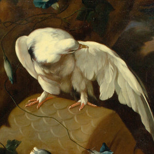 Franz Werner Von Tamm (Attributed), Still Life With Pigeons & Guinea Pigs In A Forest