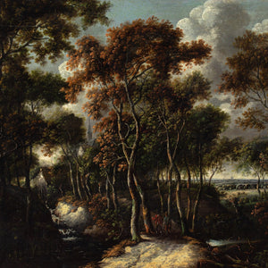 Jacob Van Ruisdael (Circle), Forest View With Birch Trees