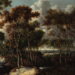 Jacob Van Ruisdael (Circle), Forest View With Birch Trees