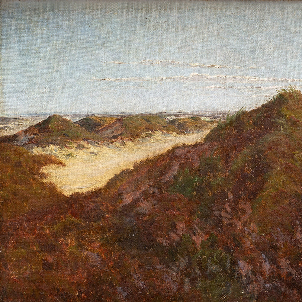 Jens Lauritzen Thomsen, Coastal View With Heathland
