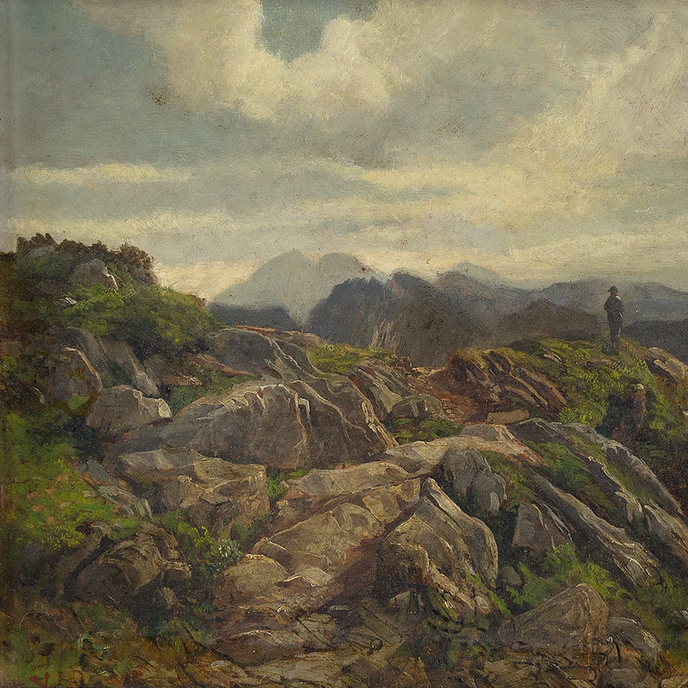 Ludwig Gustav Voltz, On The Alps