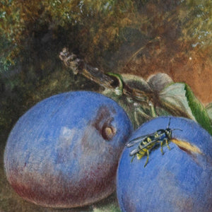 Mary A Hull, Still Life With Plums, Peach & Wasp