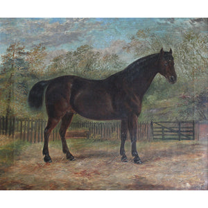 Portrait Of Alonzo, A Dark Brown Stallion