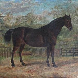 Portrait Of Alonzo, A Dark Brown Stallion