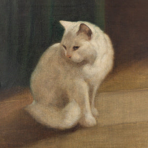 Arthur Heyer, Portrait Of A Persian Cat