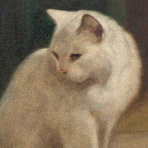 Arthur Heyer, Portrait Of A Persian Cat