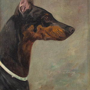 Wilhelm Westerop, Portrait Of A Doberman In Profile